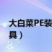 大白菜PE装机工具独立版（大白菜pe装机工具）