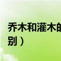 乔木和灌木的区别高中地理（乔木和灌木的区别）