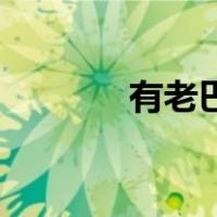 有老巴麻美斩首的横截面吗？