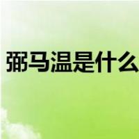 弼马温是什么意思解释（弼马温是什么意思）