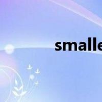 smaller-sized clothes的中文