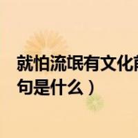 就怕流氓有文化前面那一句是什么（就怕流氓有文化前面一句是什么）