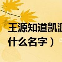 王源知道凯源吗（凯源小说中王源被下药的有什么名字）
