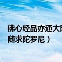 佛心经品亦通大随求陀罗尼经全文注音版（佛心经品亦通大随求陀罗尼）