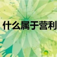 什么属于营利活动类型（什么属于营利活动）