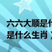 六六大顺是什么生肖下一句是什么（六六大顺是什么生肖）