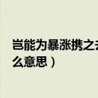 岂能为暴涨携之去的之的意思（岂能为暴涨携之去的之是什么意思）