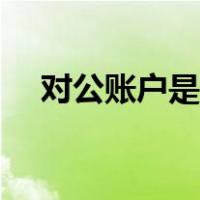 对公账户是什么意思（账户是什么意思）