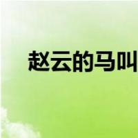赵云的马叫什么名字（赵云的马叫什么）