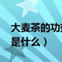 大麦茶的功效是什么?（大麦茶的功效与作用是什么）