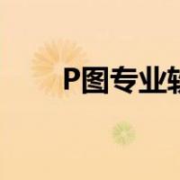P图专业软件（专业p图软件电脑版）