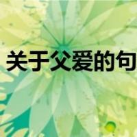 关于父爱的句子唯美简短（关于父爱的句子）