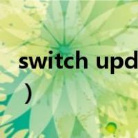 switch upd是什么文件（switch upd是什么）