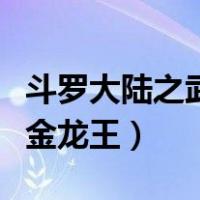 斗罗大陆之武魂金龙王魂技（斗罗大陆之武魂金龙王）