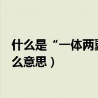 什么是“一体两翼”?（全面深化改革总目标 一体两翼 是什么意思）