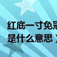 红底一寸免冠照片是什么意思（一寸免冠照片是什么意思）