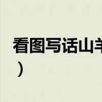 看图写话山羊爷爷和小兔小猴踢球（小猴踢球）