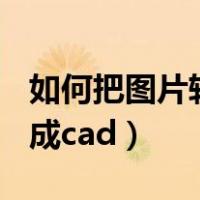 如何把图片转换成cad线条（如何把图片转换成cad）