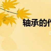 轴承的作用是支撑（轴承的作用）