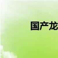 国产龙傲天动漫（龙傲天动漫）