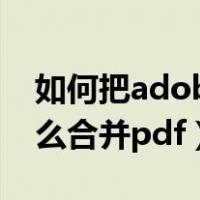 如何把adobe acrobat文件合并（adobe怎么合并pdf）
