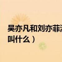 吴亦凡和刘亦菲演的是什么电影（刘亦菲和吴亦凡演的电影叫什么）