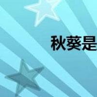 秋葵是什么植物（秋葵是什么）