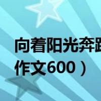 向着阳光奔跑作文600字免费（向着阳光奔跑作文600）
