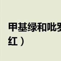 甲基绿和吡罗红是碱性染料吗（甲基绿和吡罗红）