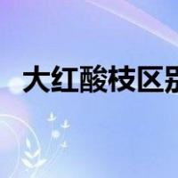 大红酸枝区别（大红酸枝和红酸枝的区别）