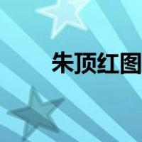 朱顶红图片大全大图（朱顶红图片）