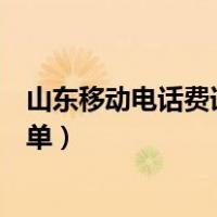 山东移动电话费详单查询（山东移动网上营业厅查询话费详单）