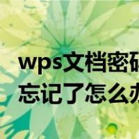 wps文档密码忘记了怎么解决（wps文件密码忘记了怎么办）