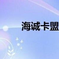 海诚卡盟平台登录官网（海城卡盟）