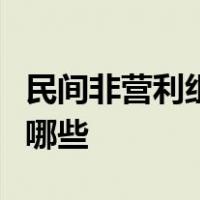 民间非营利组织会计科目的业务活动成本包括哪些