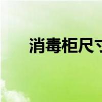 消毒柜尺寸和开孔尺寸（消毒柜尺寸）