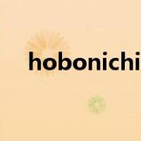 hobonichi购买指南（hobonichi官网）