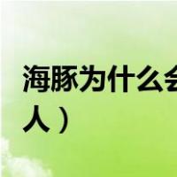 海豚为什么会救人简要回答（海豚为什么会救人）