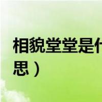 相貌堂堂是什么意思简写（相貌堂堂是什么意思）