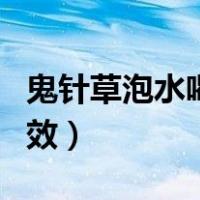 鬼针草泡水喝的功效图片（鬼针草泡水喝的功效）