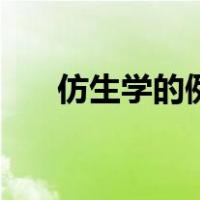 仿生学的例子及图片（仿生学的例子）
