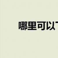 哪里可以下载winkawaks的中文版？