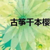 古筝千本樱指法教学（古筝千本樱谱子）