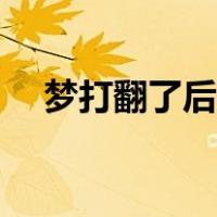 梦打翻了后面怎样填空（梦打翻了什么）