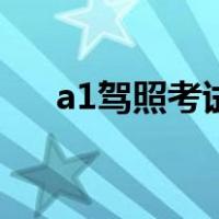 a1驾照考试全过程（a1驾照报考条件）