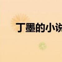 丁墨的小说最新（丁墨最新小说2020）