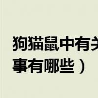 狗猫鼠中有关猫的故事（狗猫鼠中有关猫的故事有哪些）