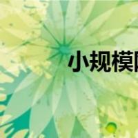 小规模网上纳税申报的基本流程