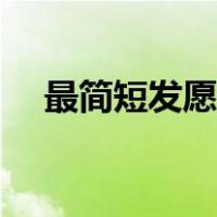 最简短发愿回向文（回向文愿以此功德）