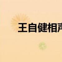 王自健相声音频无杂音（王自健相声）